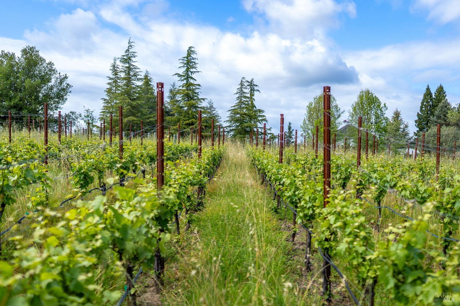 9724 Green Valley Rd