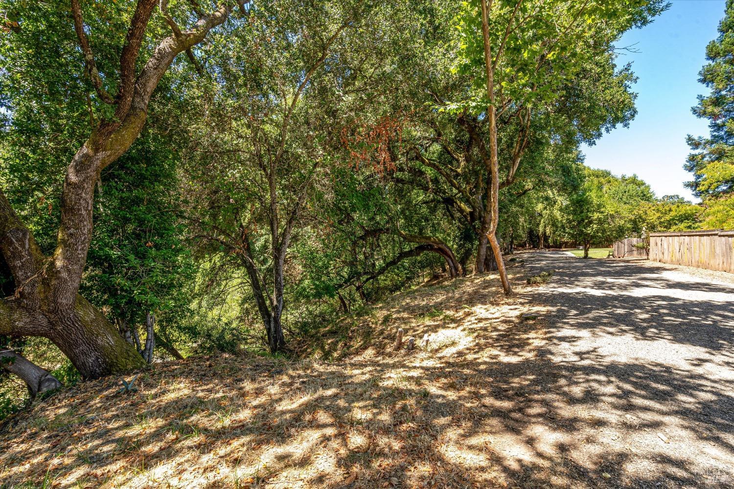 607 Oman Springs Cir