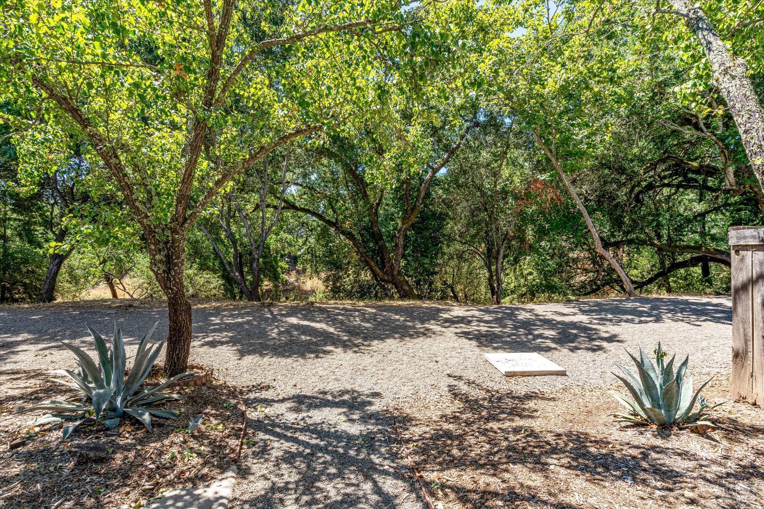 607 Oman Springs Cir