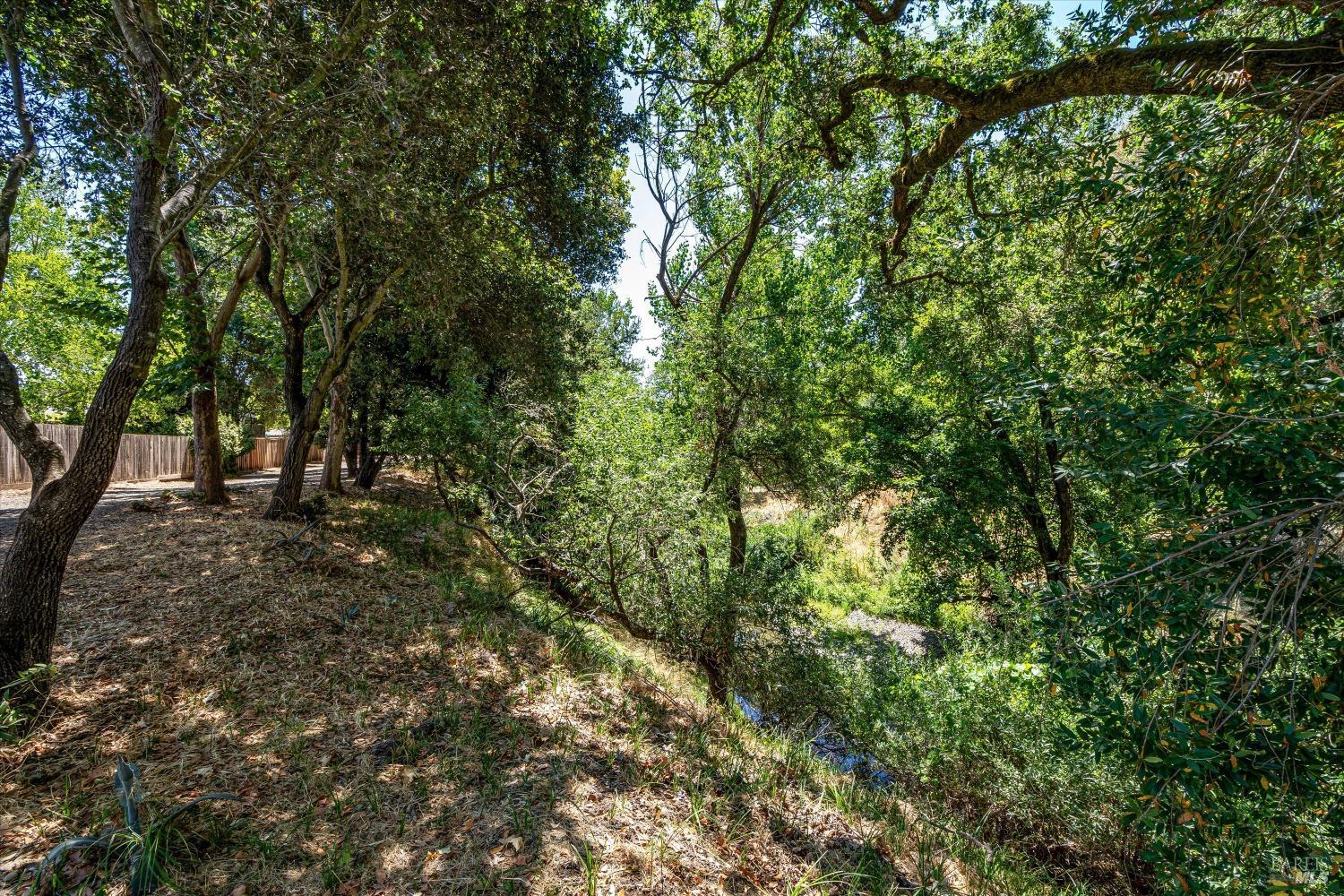 607 Oman Springs Cir