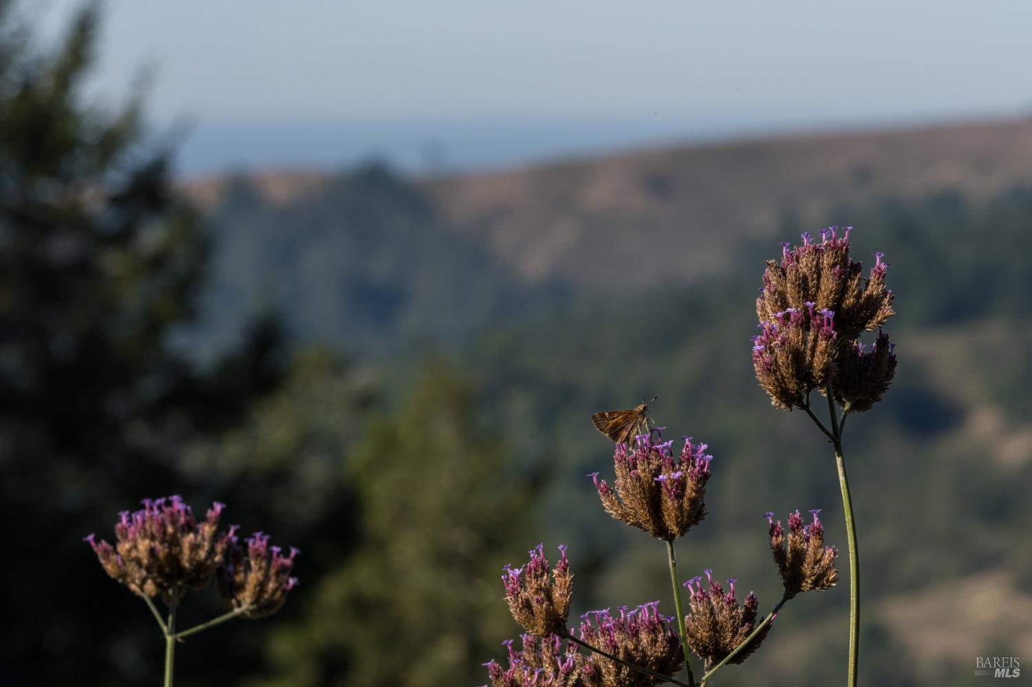 18600 Fitzpatrick Ln