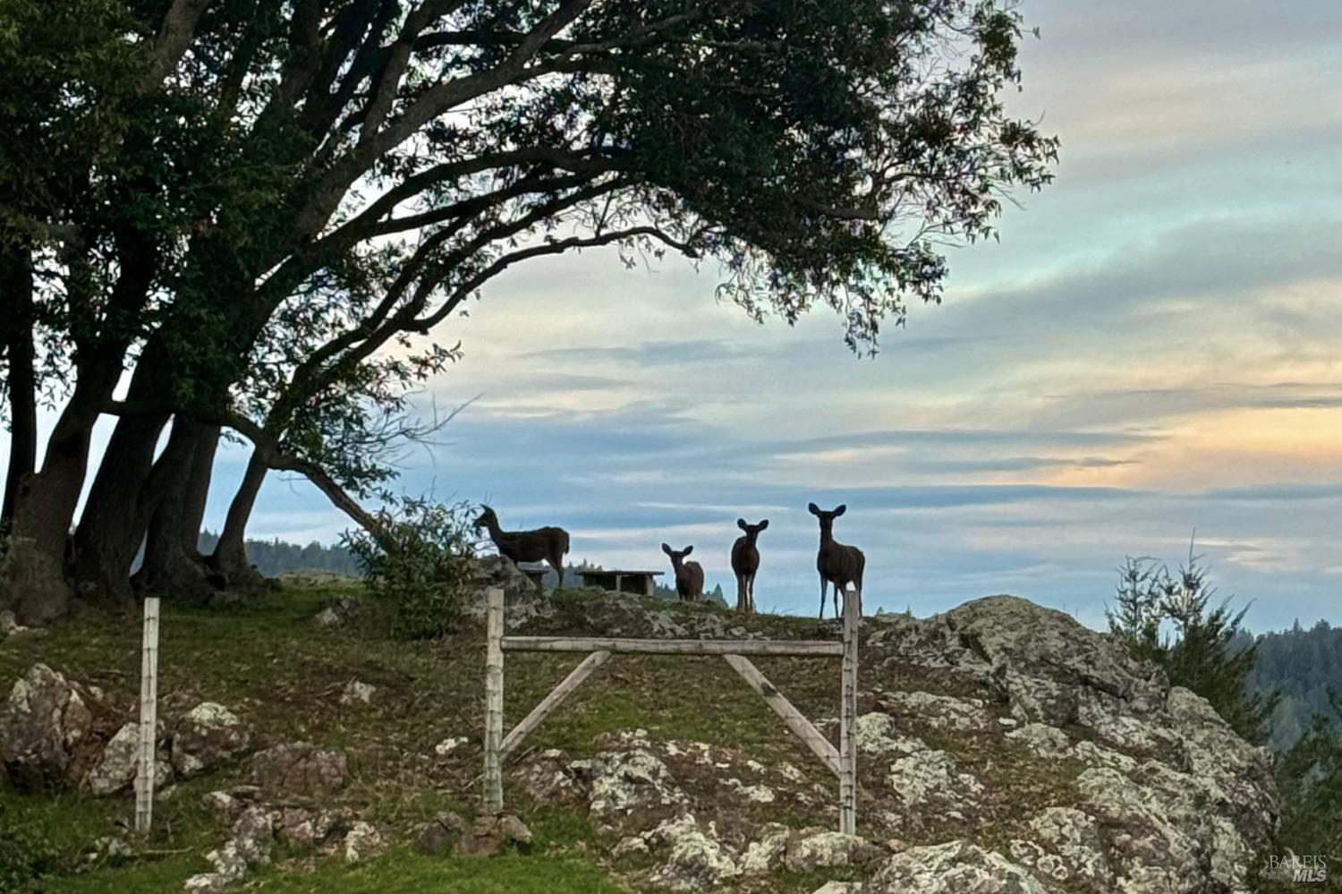 18600 Fitzpatrick Ln