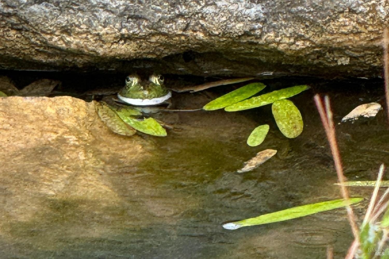 18600 Fitzpatrick Ln