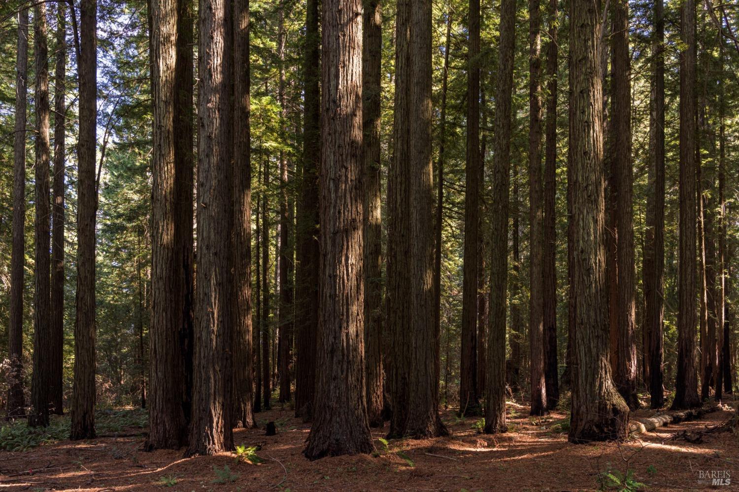 18600 Fitzpatrick Ln