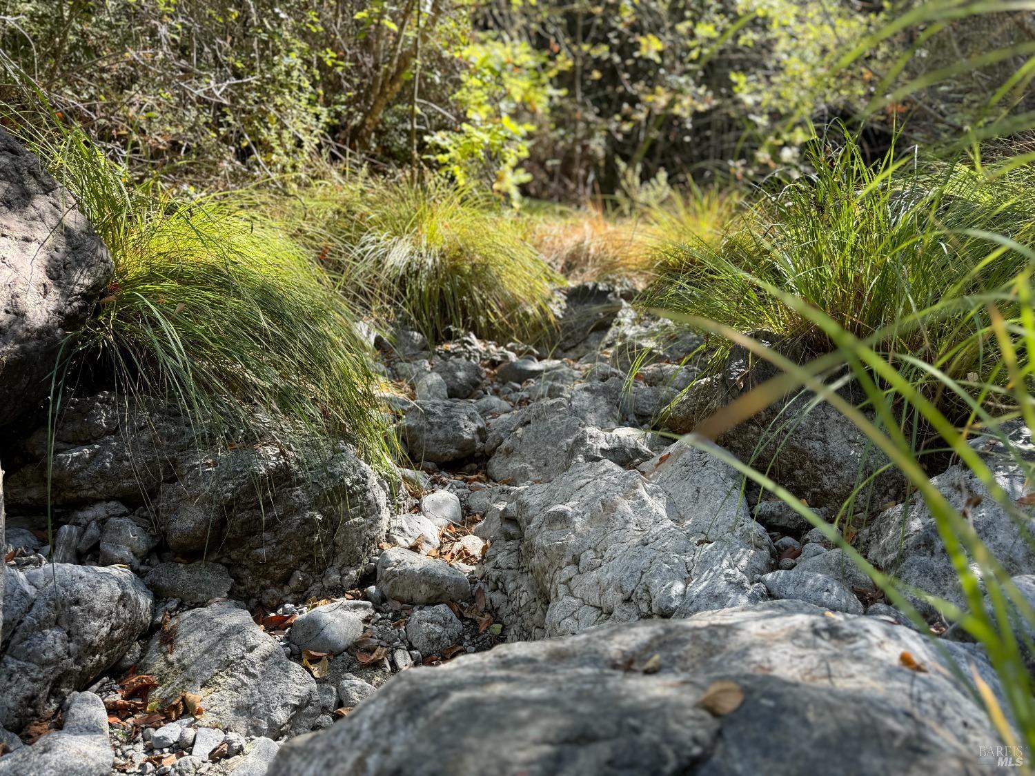 18600 Fitzpatrick Ln