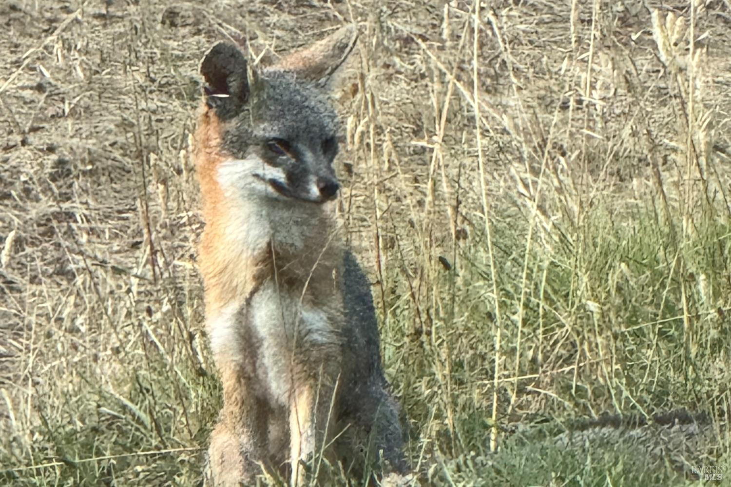 18600 Fitzpatrick Ln