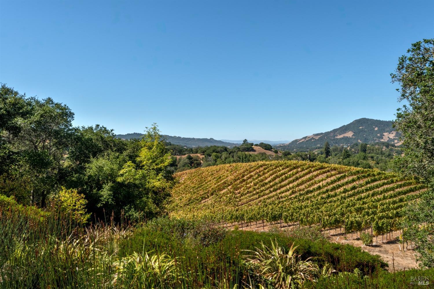 3763 Matanzas Creek Ln