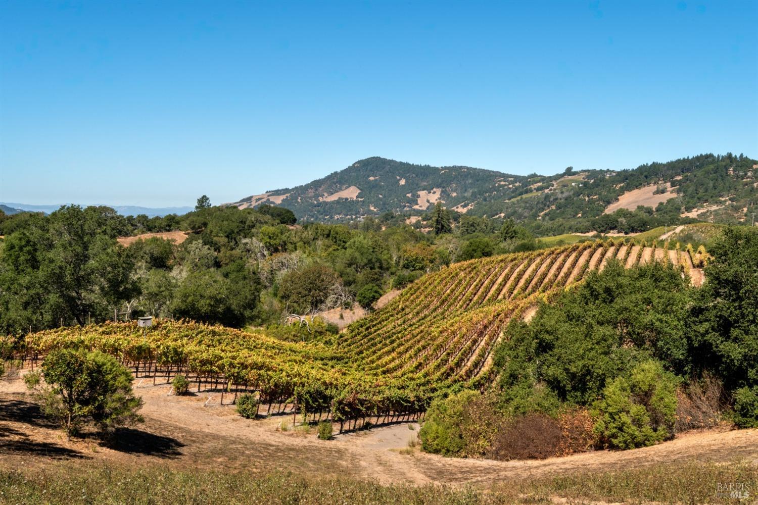 3763 Matanzas Creek Ln