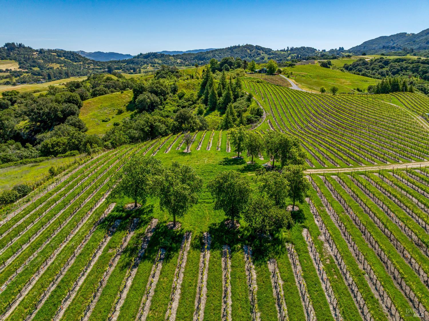 4560 Sonoma Mountain Rd