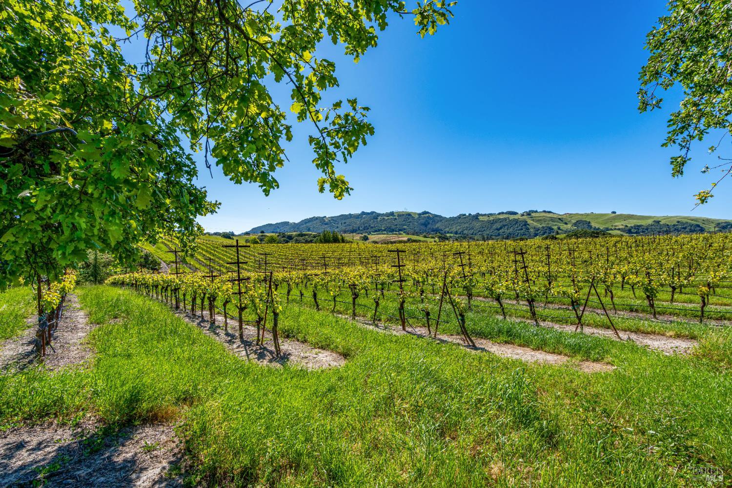 4560 Sonoma Mountain Rd