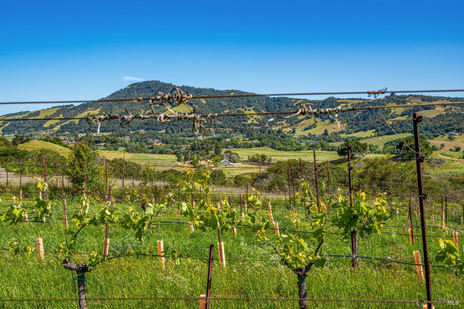 4560 Sonoma Mountain Rd