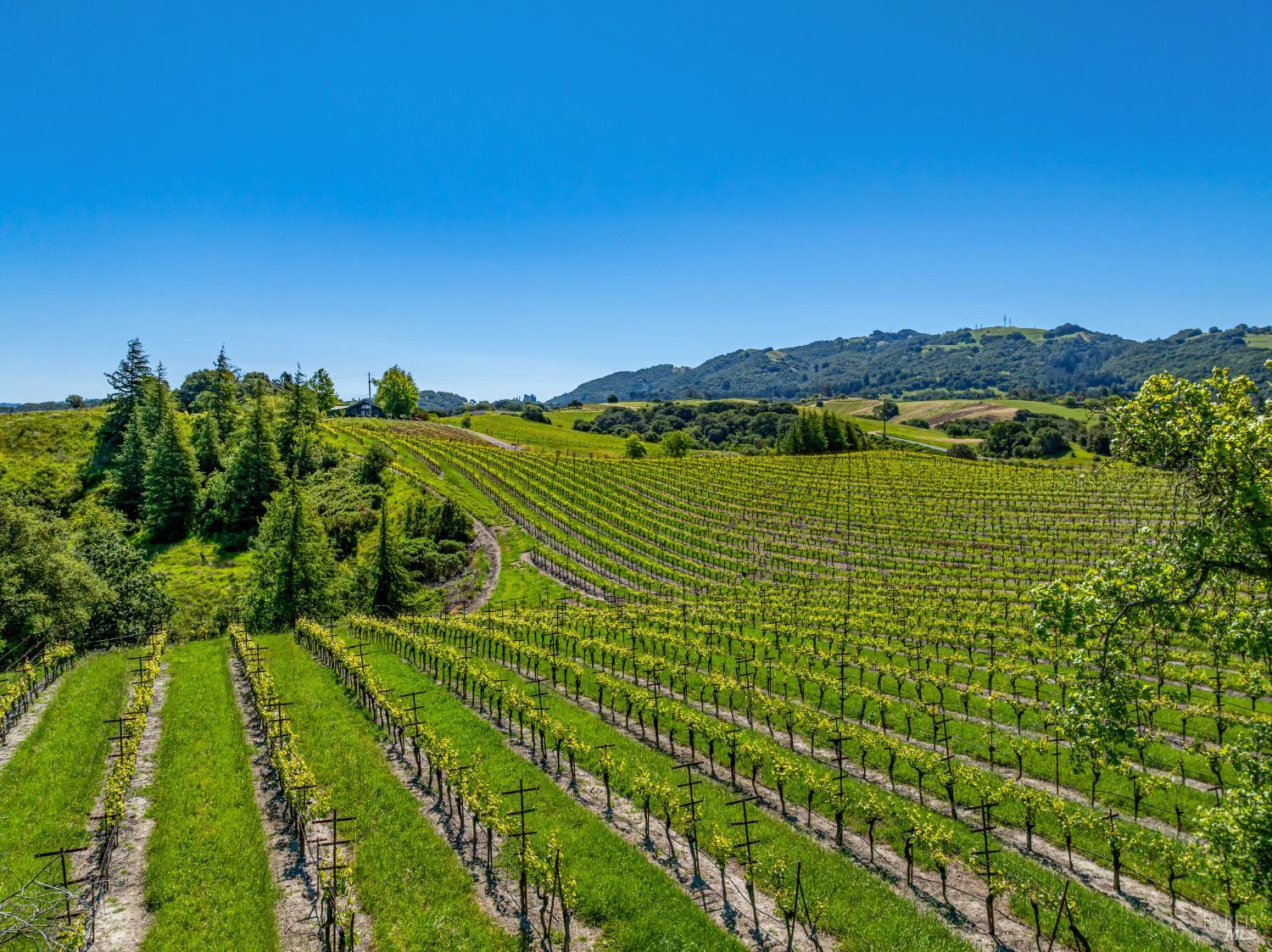 4560 Sonoma Mountain Rd