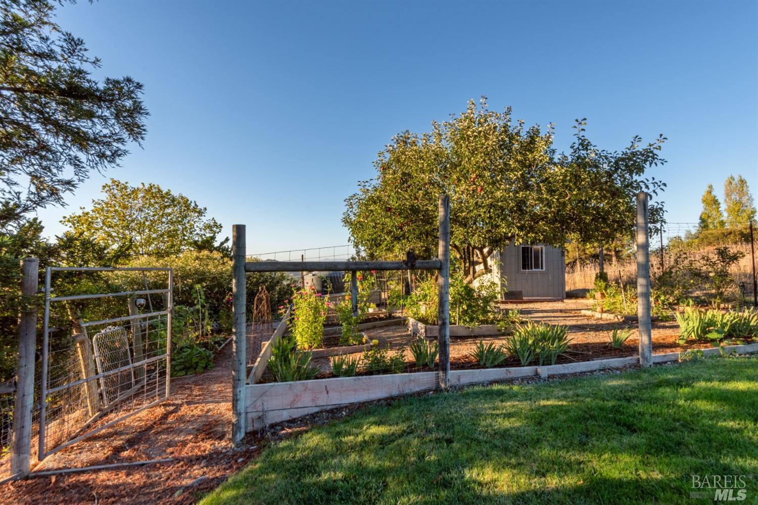 4133 Orr Ranch Rd