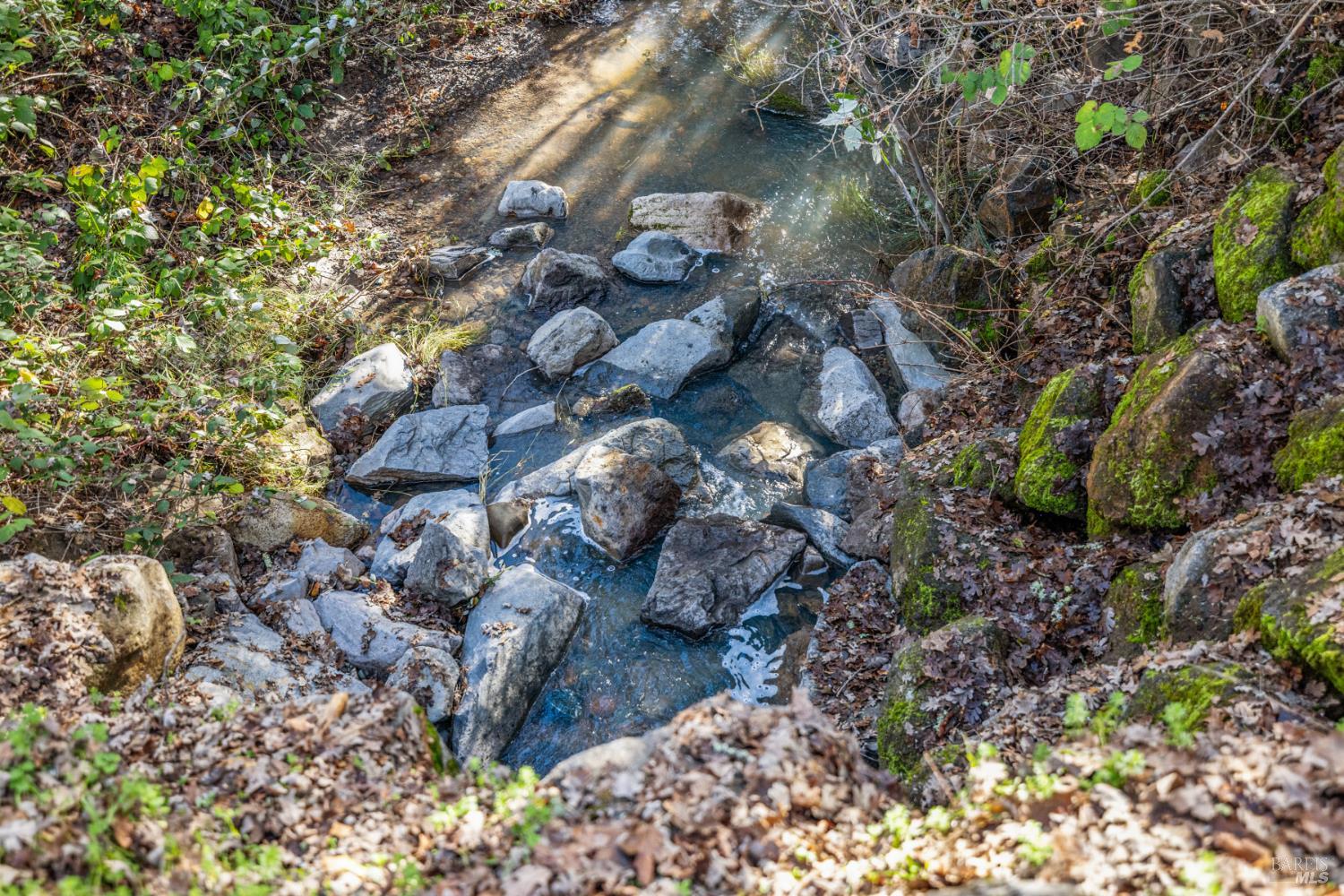 9105 Loch Haven Drive