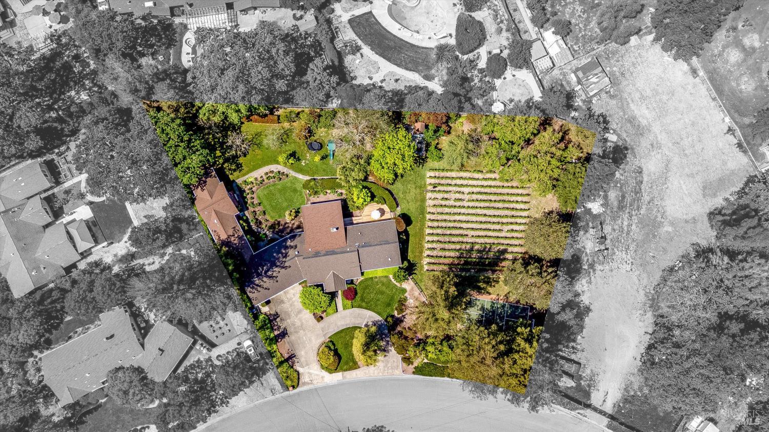 10 Oak Tree Drive