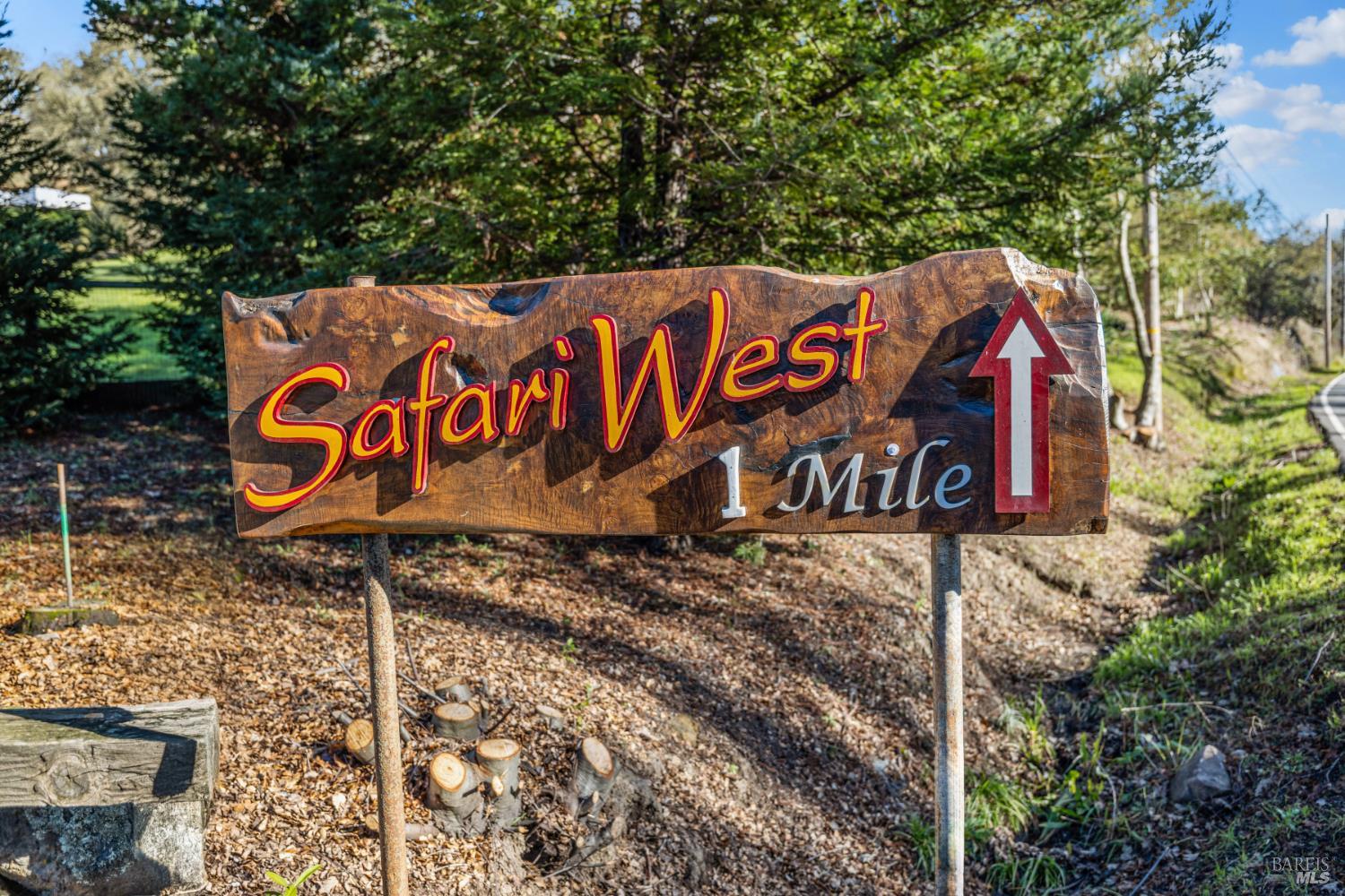 9105 Loch Haven Drive