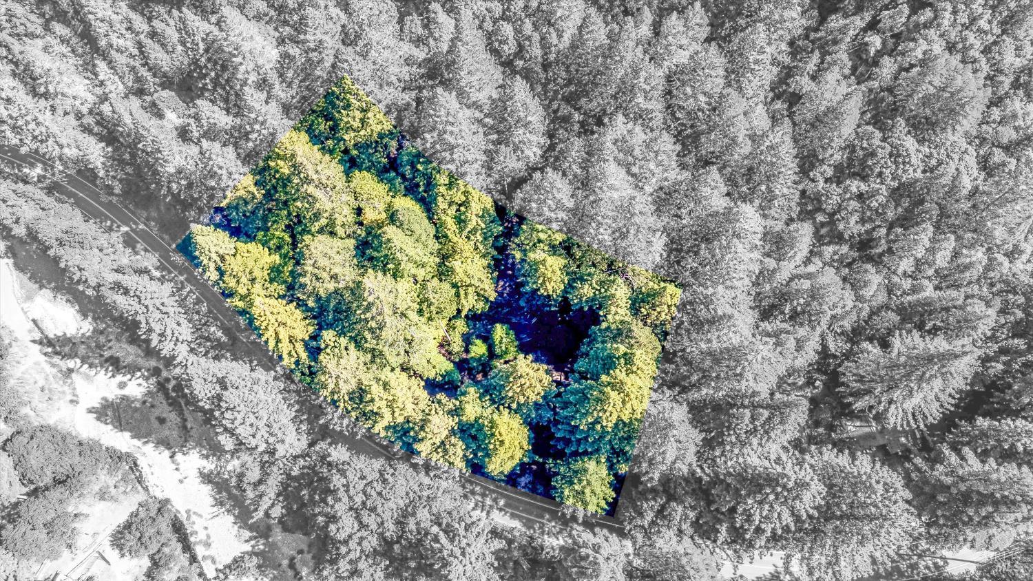 4350 Cazadero Highway
