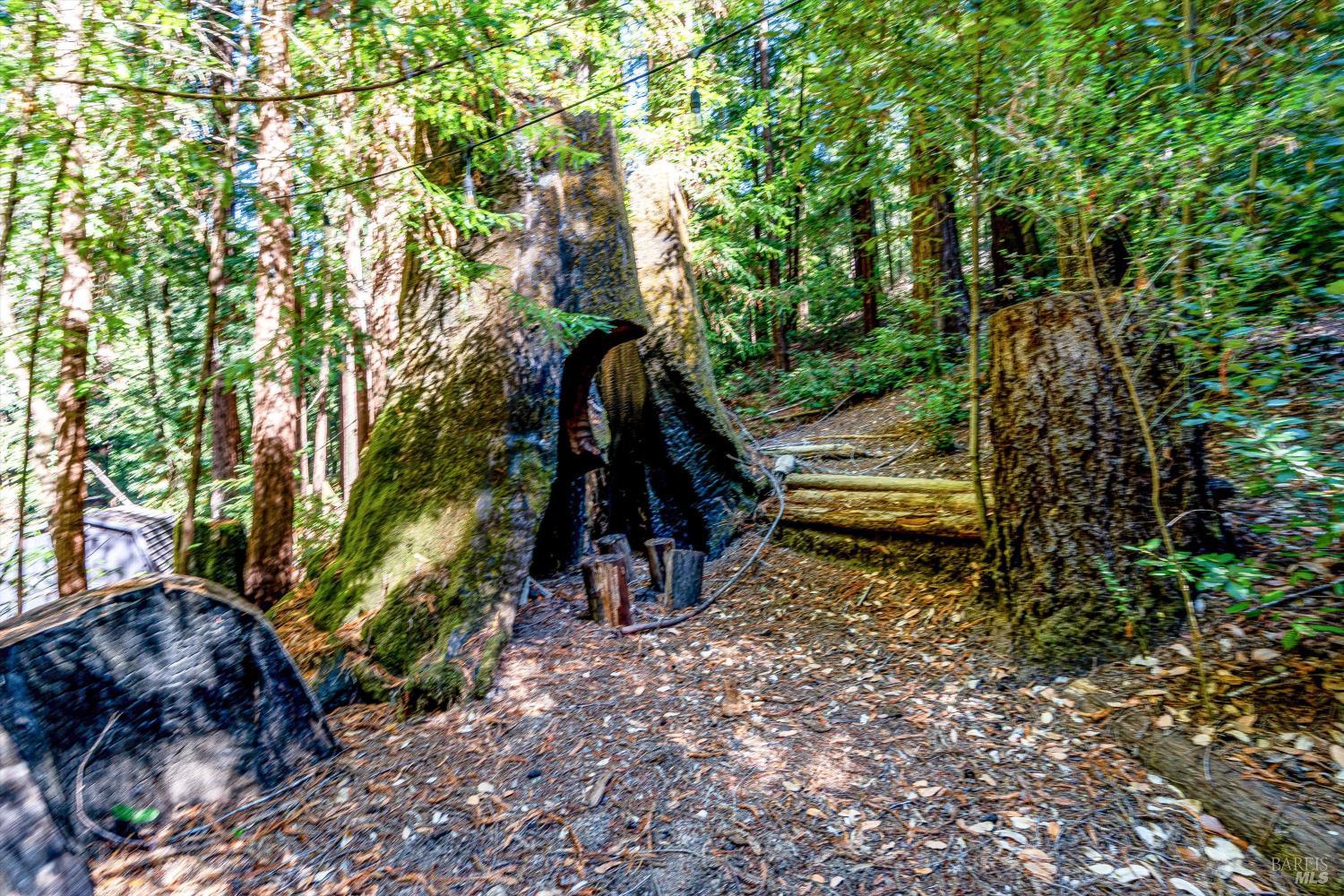 4350 Cazadero Highway