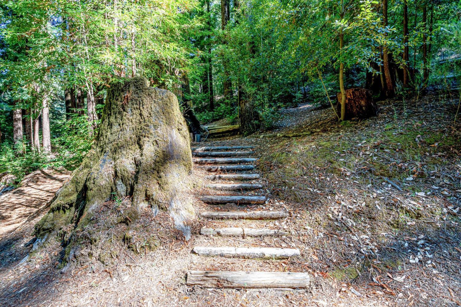 4350 Cazadero Highway