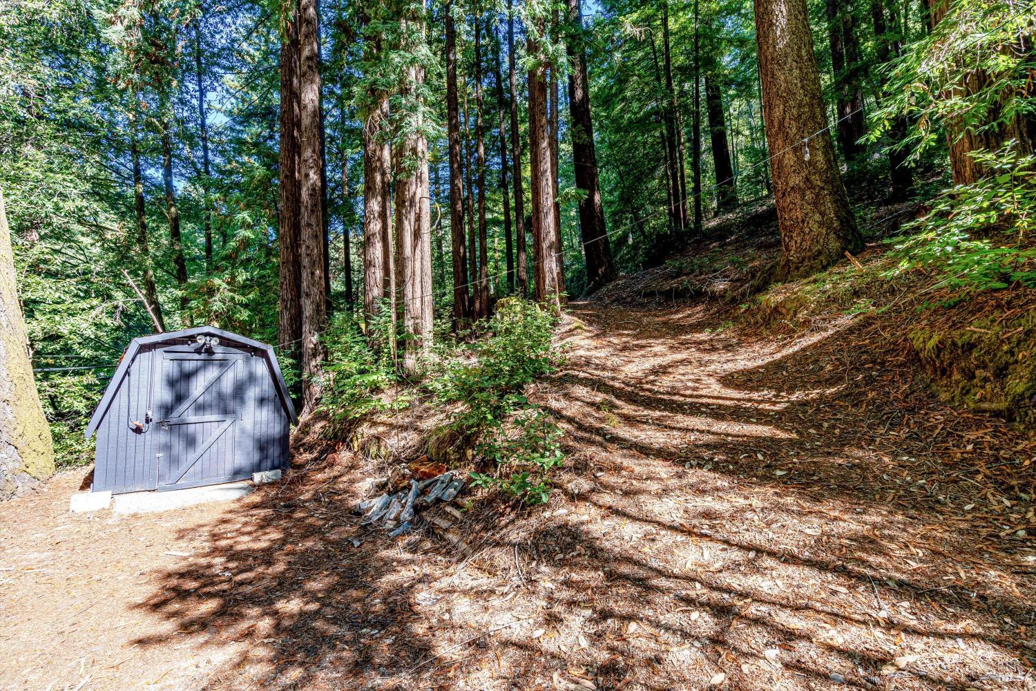 4350 Cazadero Highway