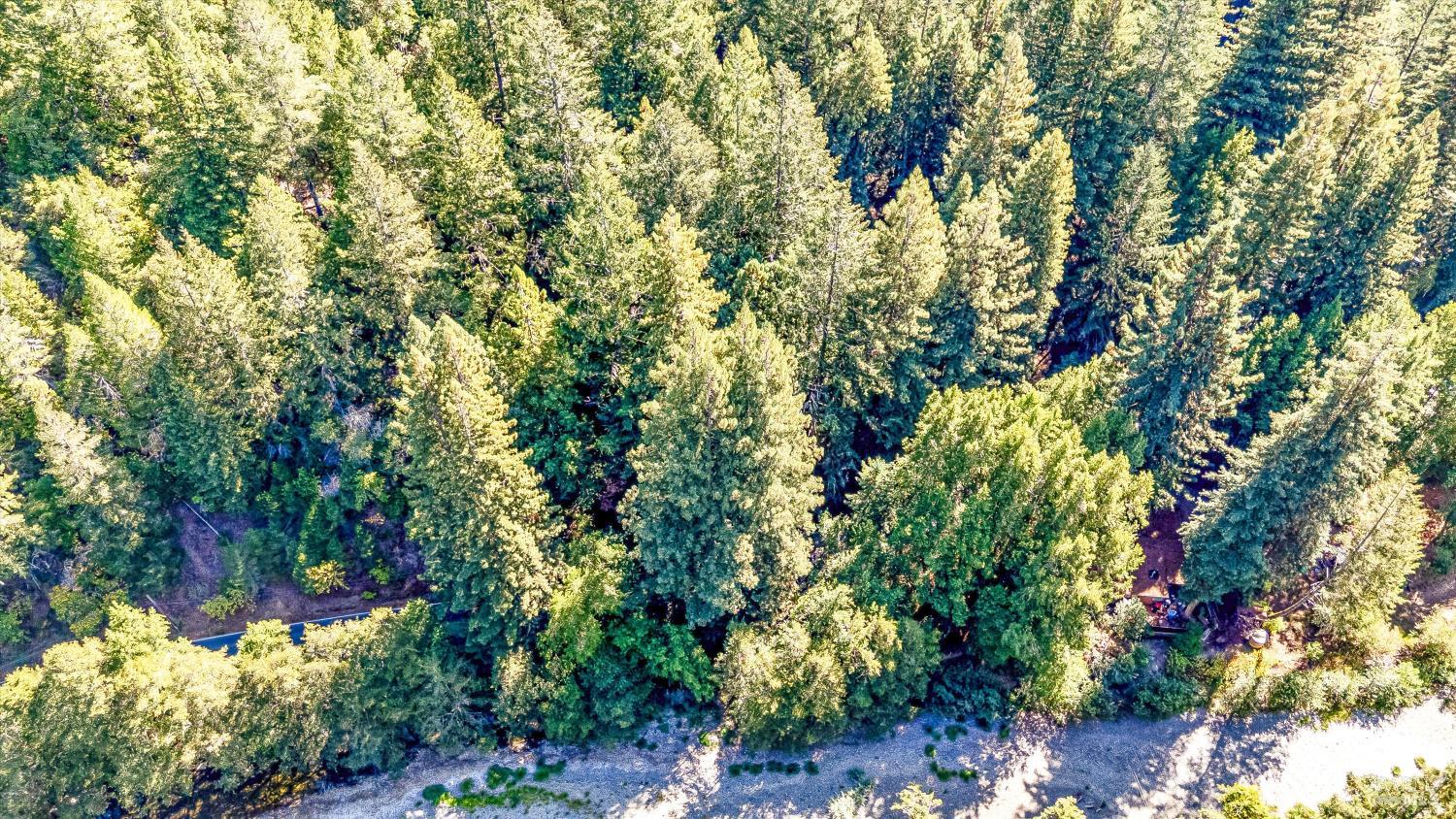 4350 Cazadero Highway