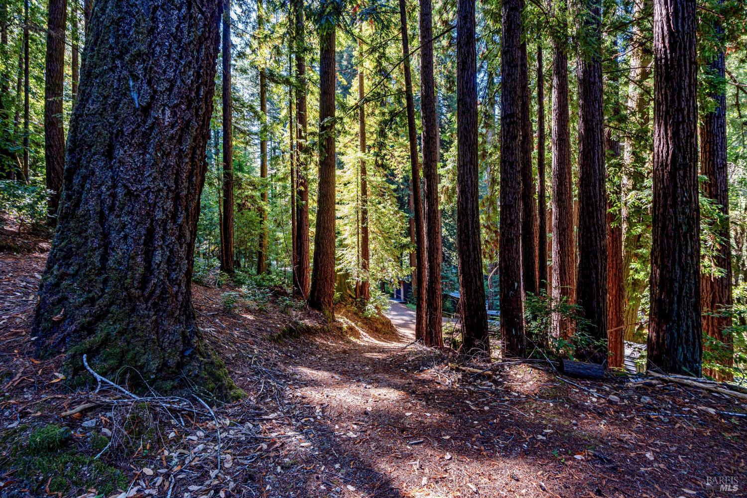 4350 Cazadero Highway