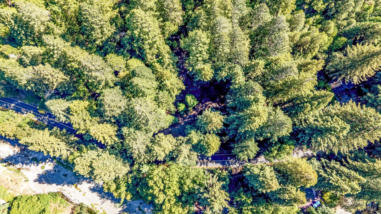 4350 Cazadero Highway