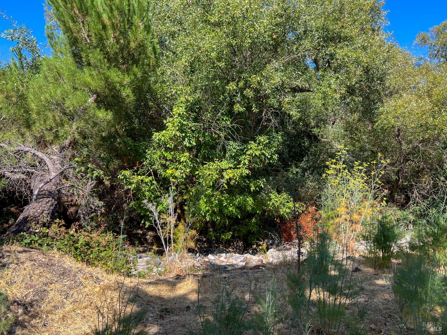 56 Portola Circle