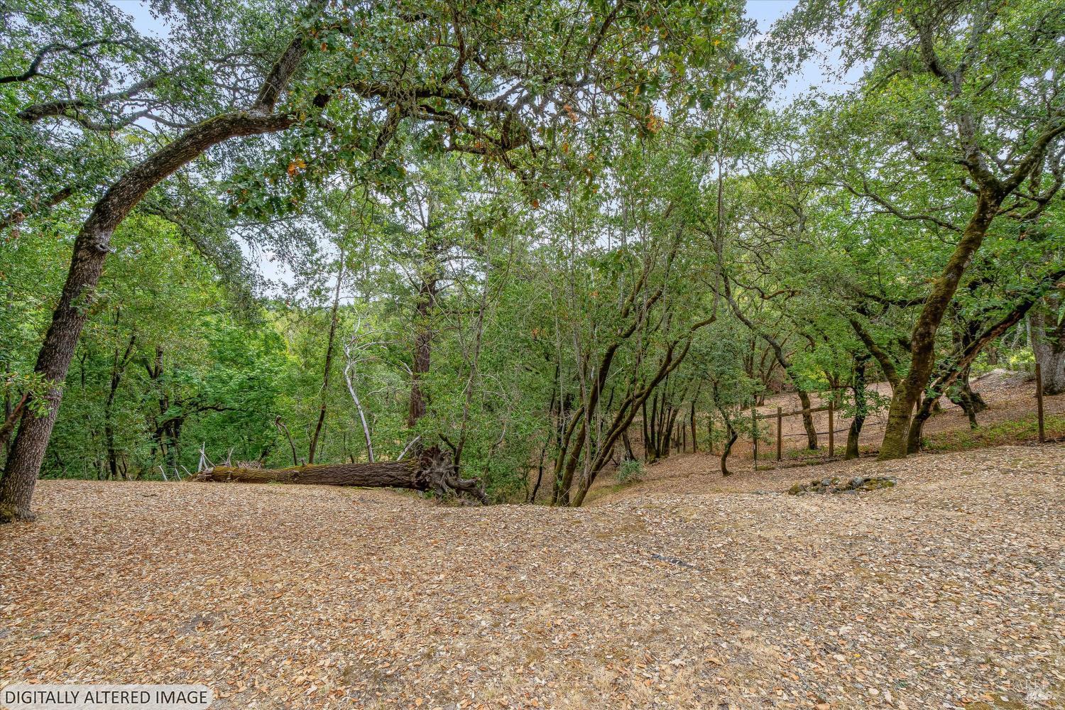5439 Vista Grande Drive