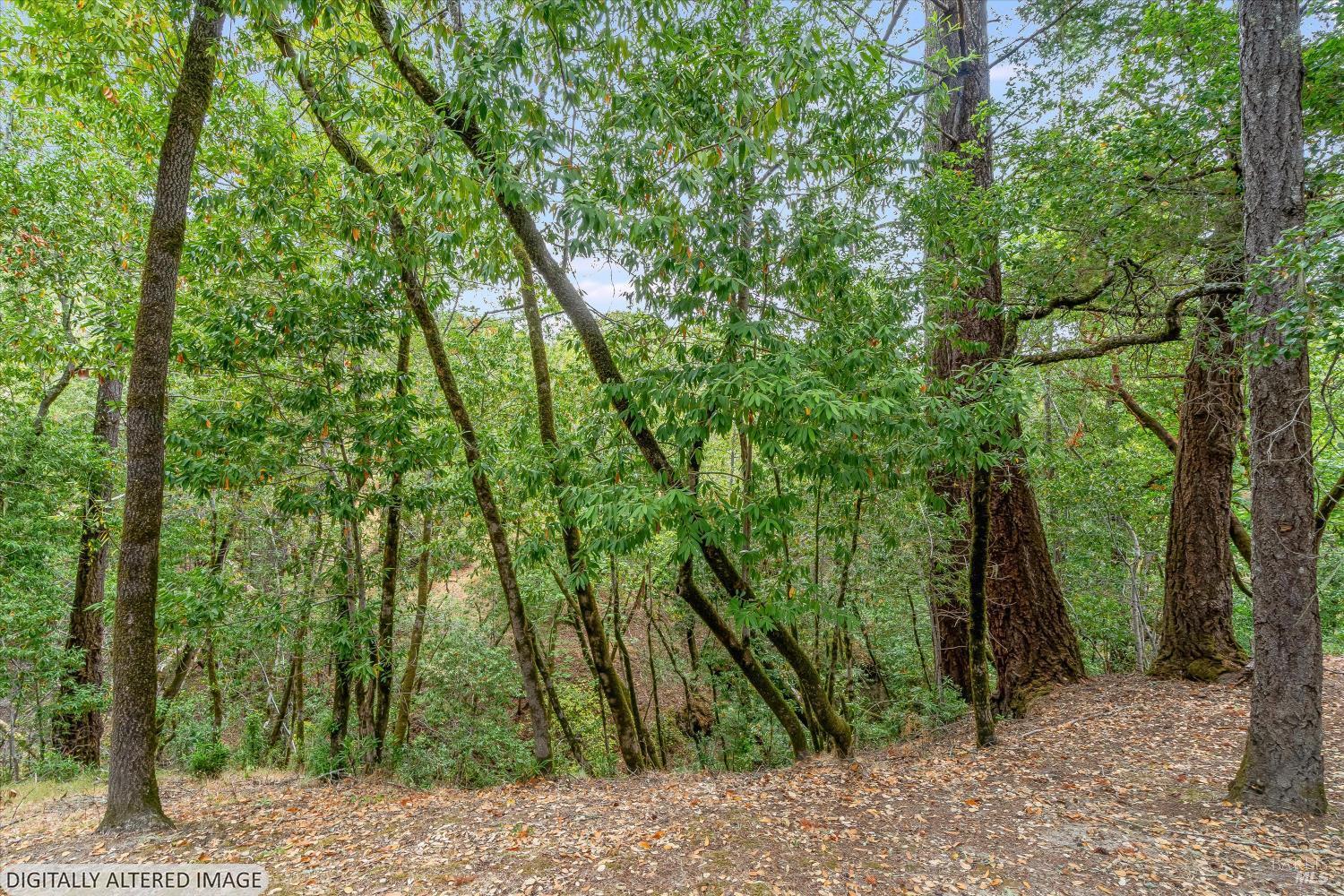 5439 Vista Grande Drive
