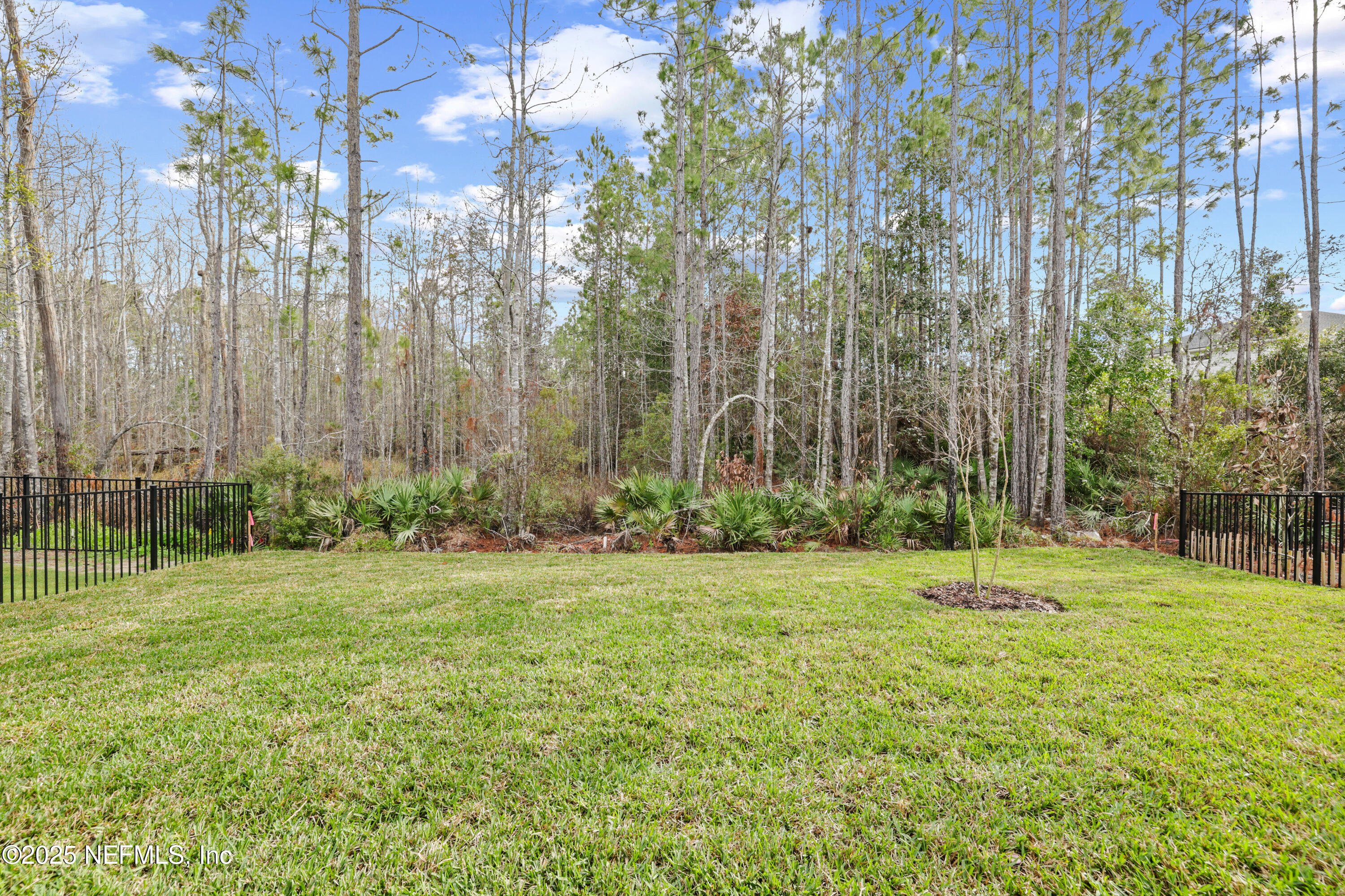 438 CAIDEN Drive