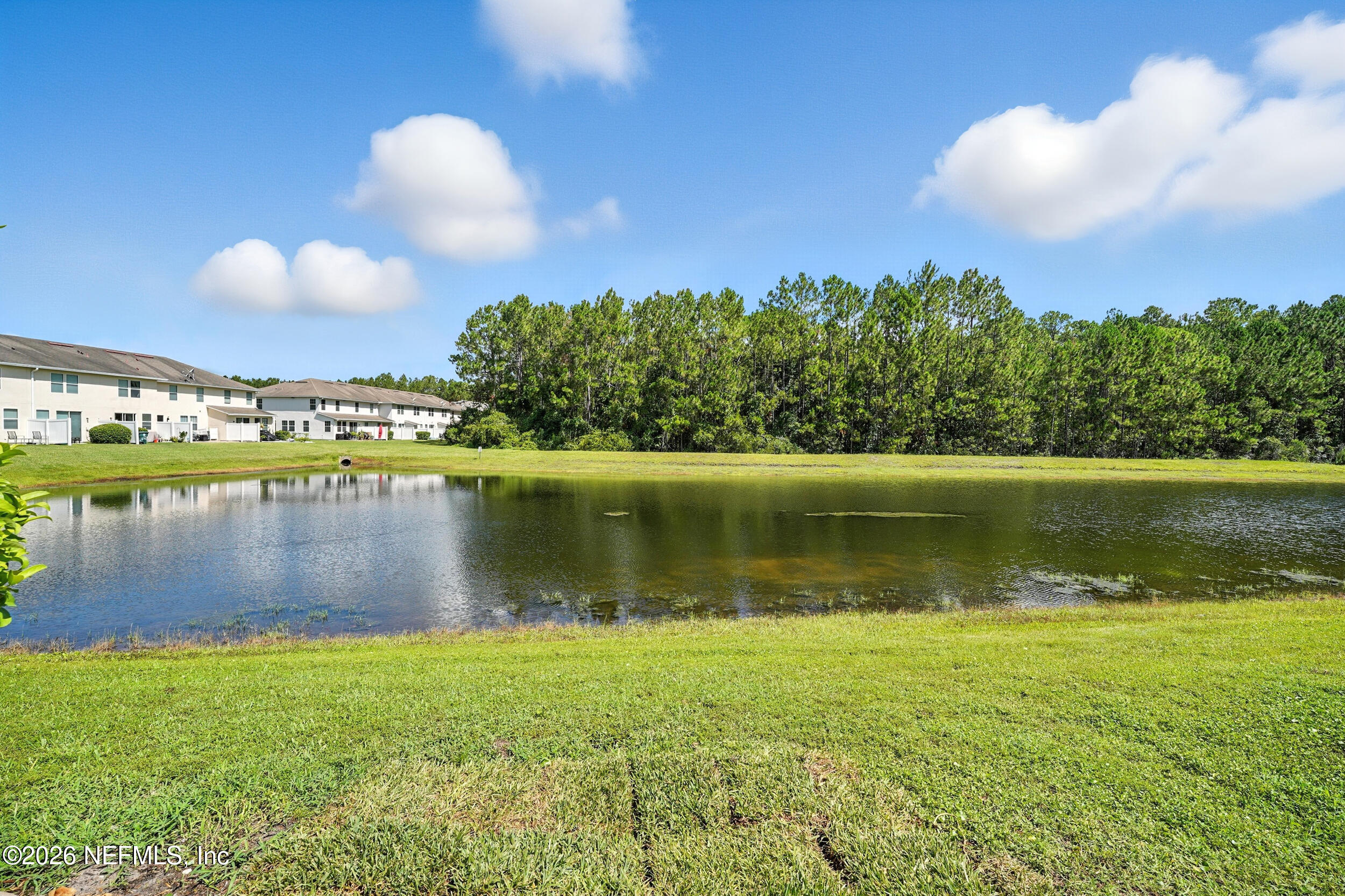 6119 BARTRAM VILLAGE Drive