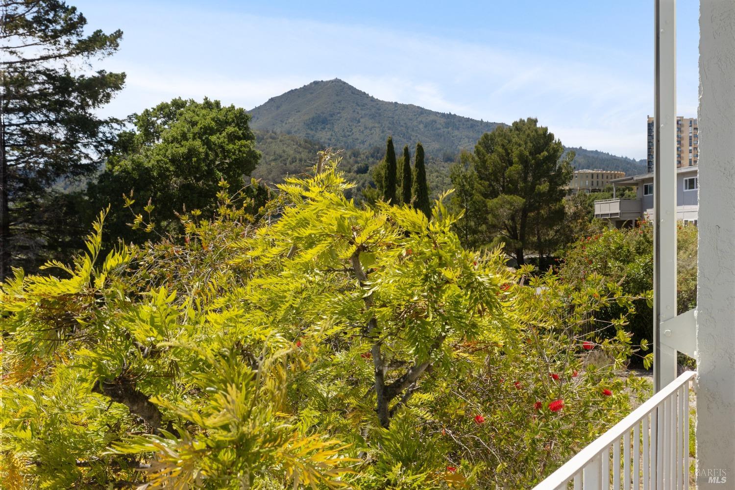 159 Lower Via Casitas