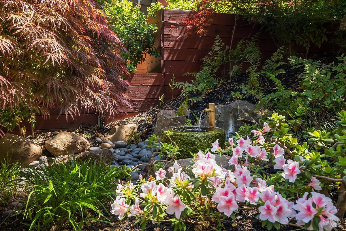 2532 Laguna Vista Dr