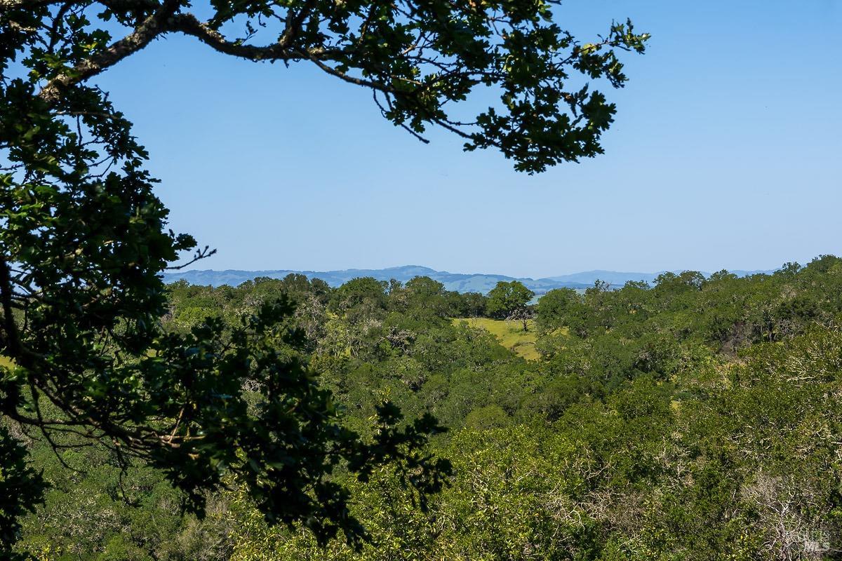 2532 Laguna Vista Dr