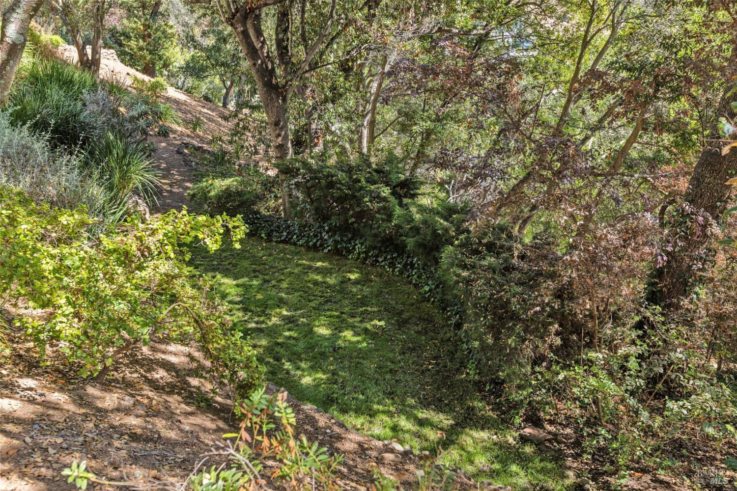 12 Tara View Road