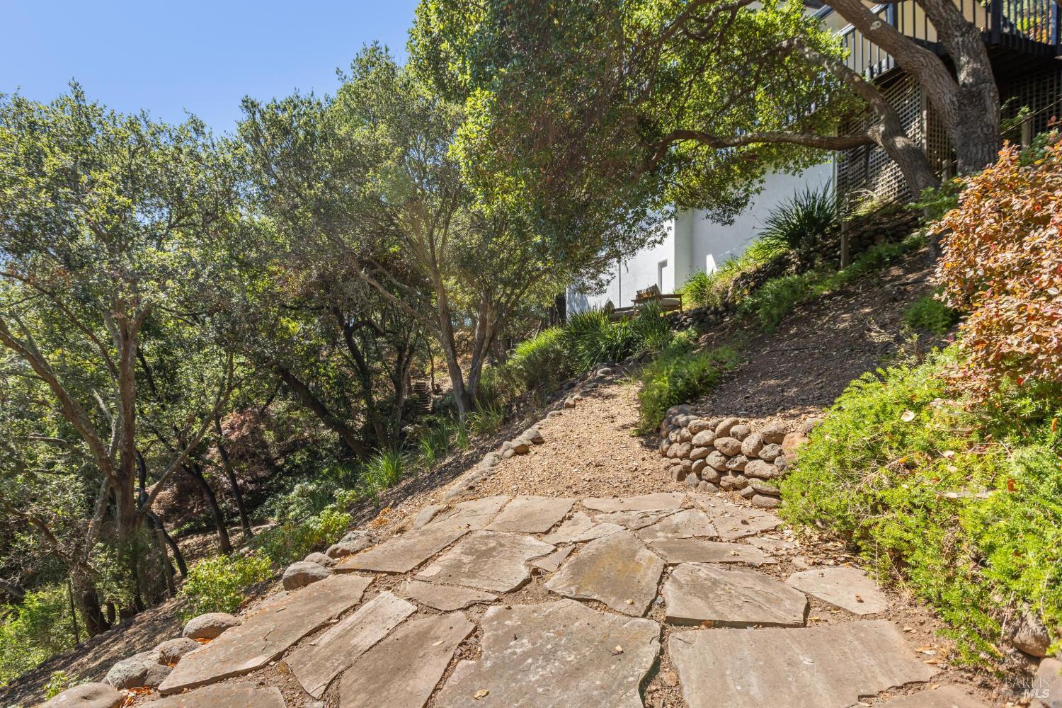 12 Tara View Road