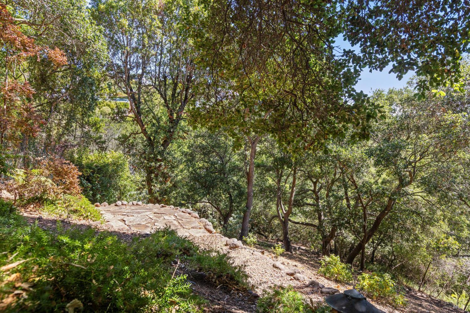 12 Tara View Road