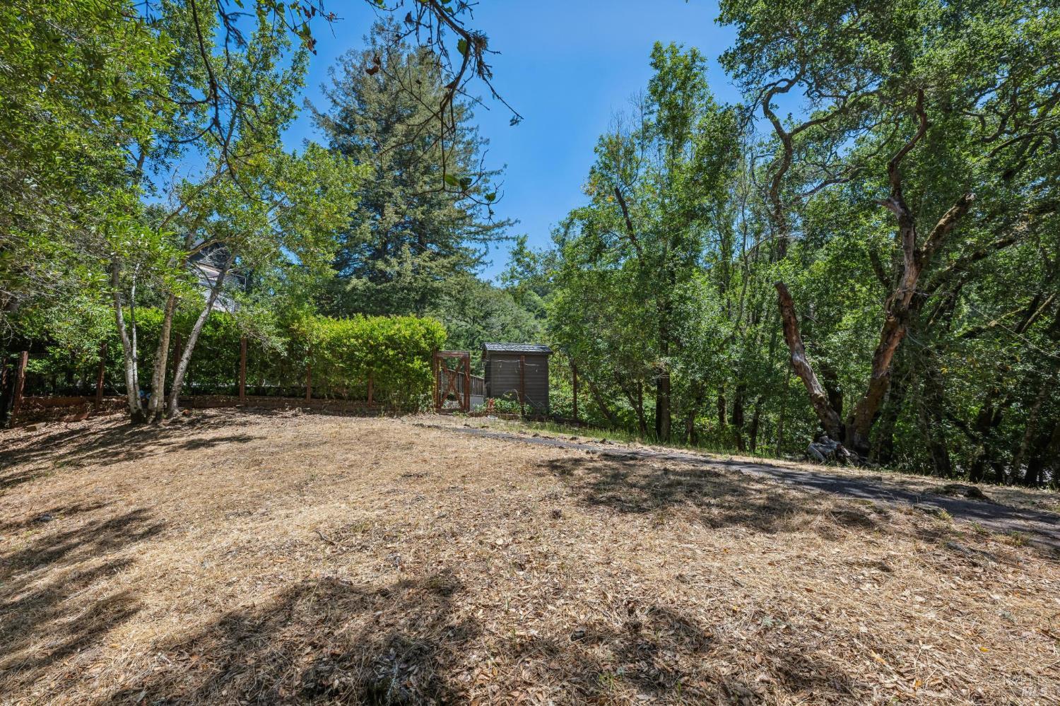 81 Laurel Grove Avenue