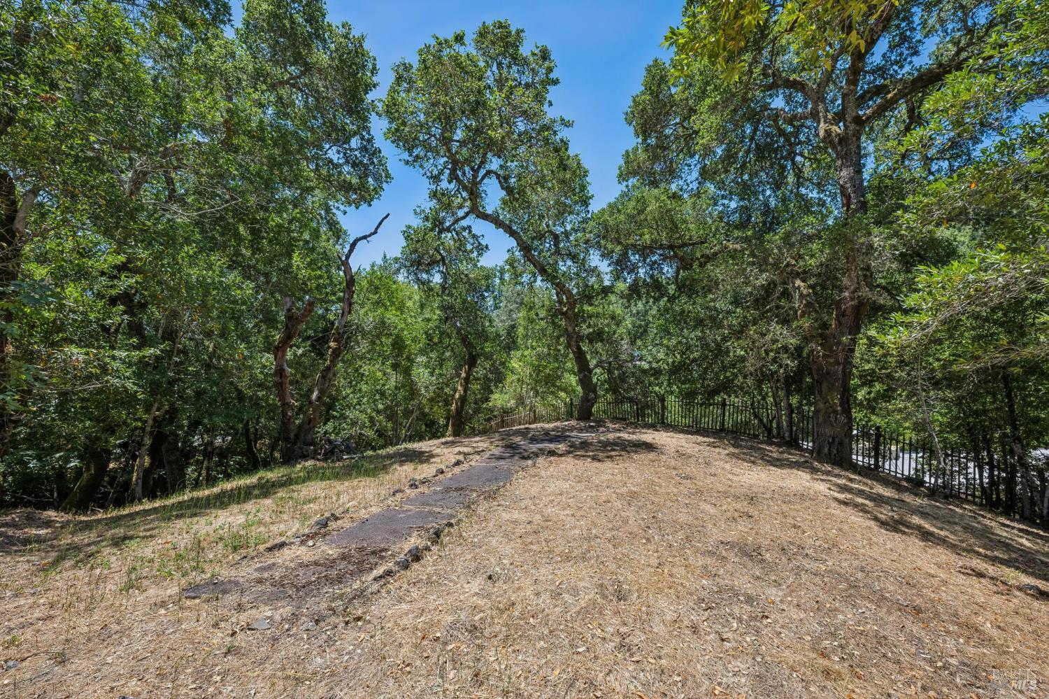 81 Laurel Grove Avenue