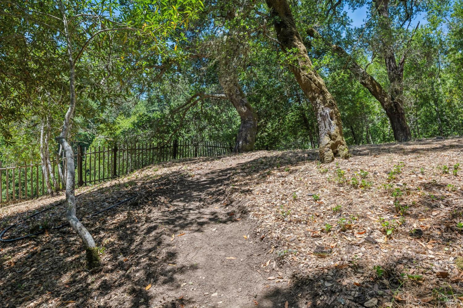 81 Laurel Grove Avenue
