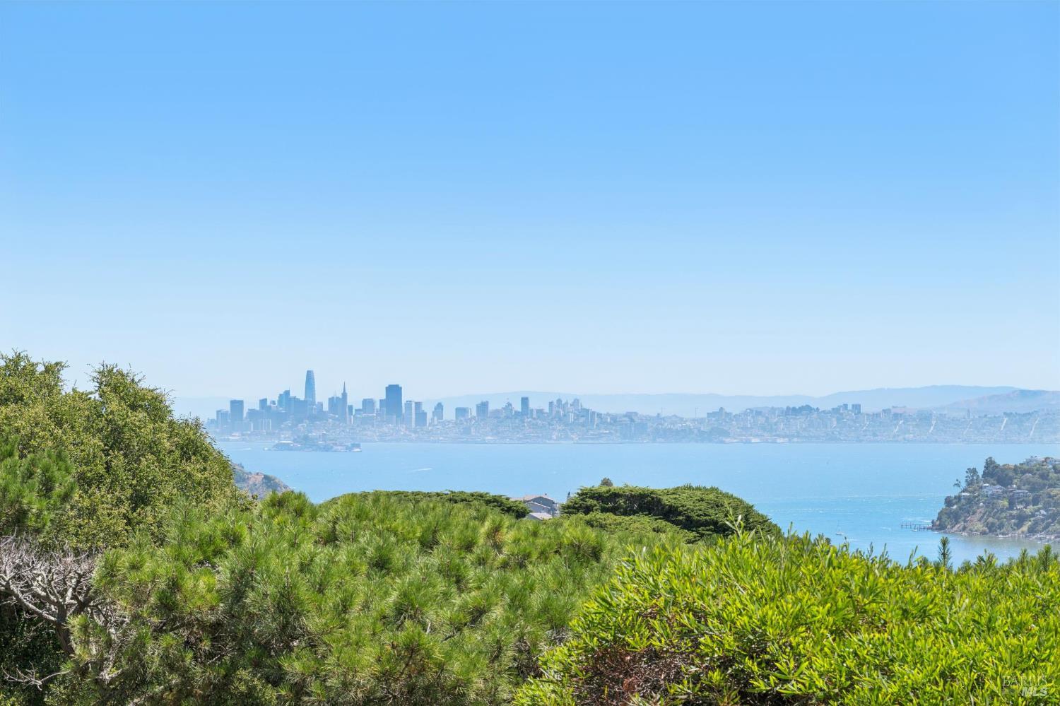 81 Mount Tiburon Road