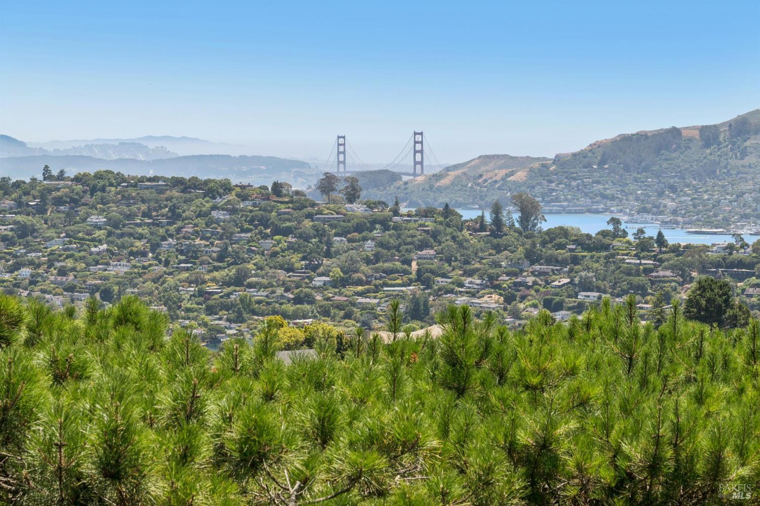 81 Mount Tiburon Road