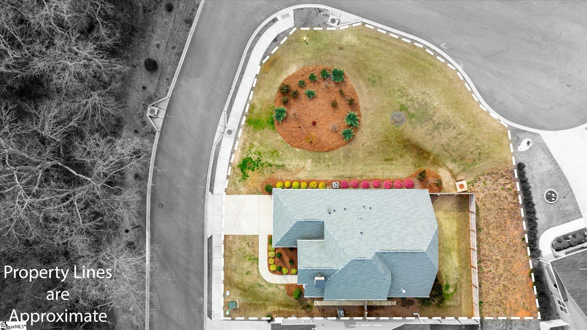 220 Rubia Drive