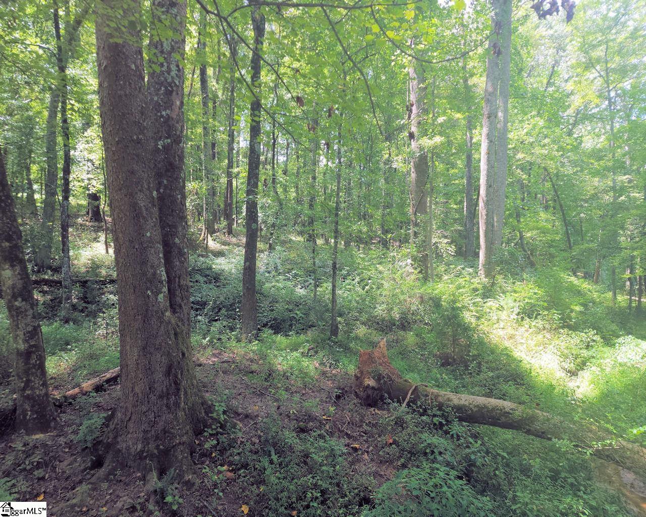 Cox Mill Road