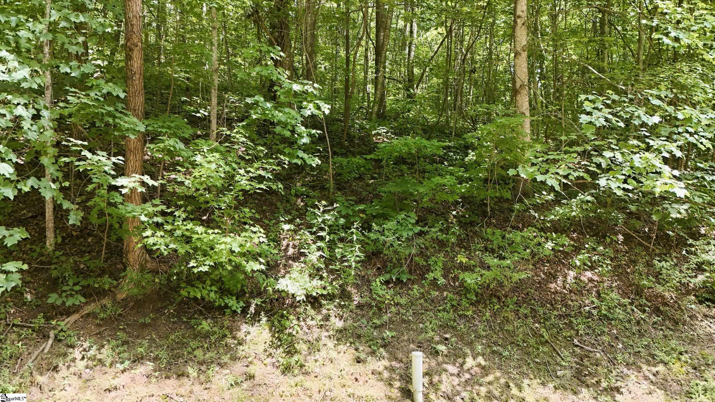 164 Catnip Trail