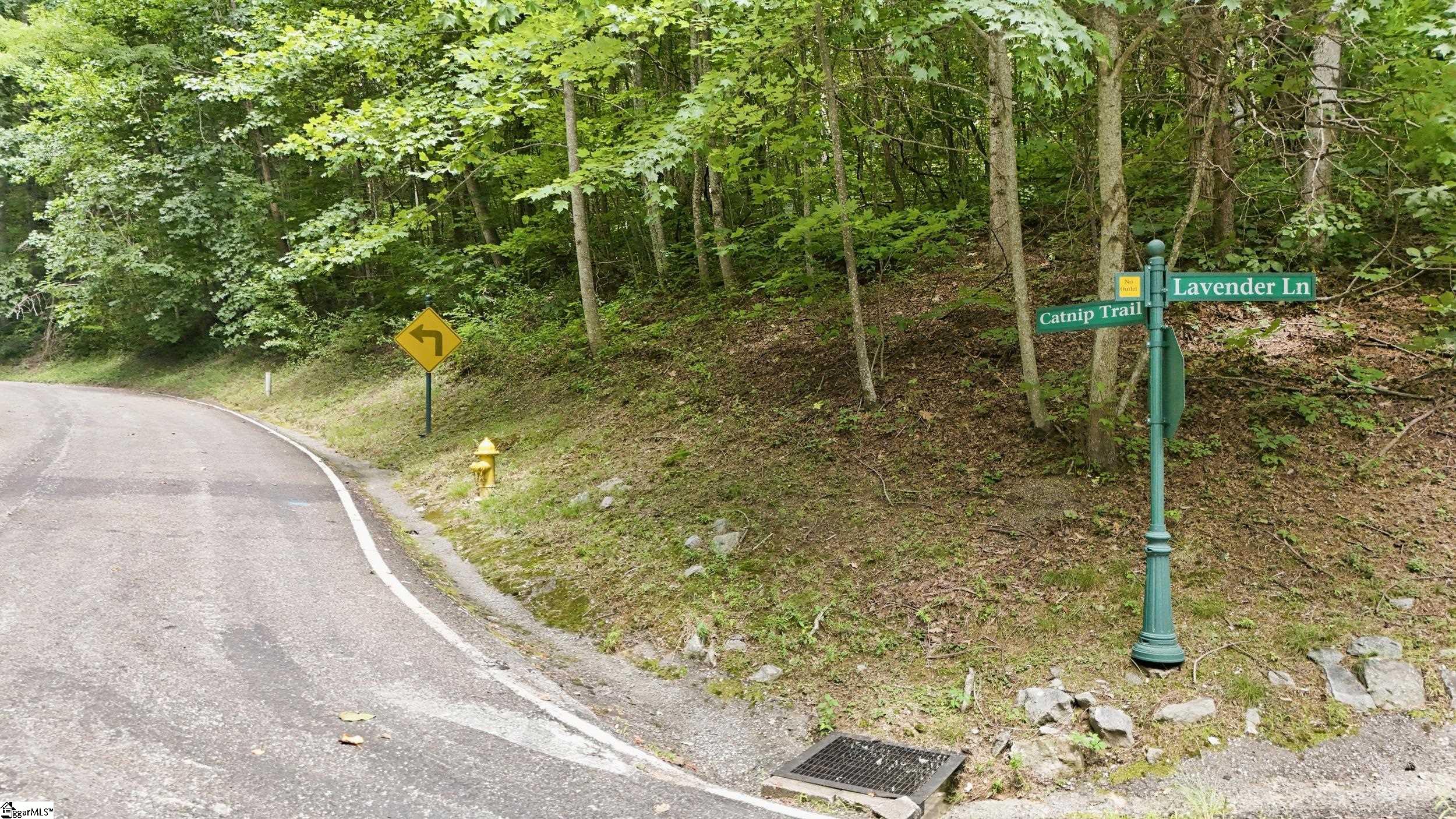 164 Catnip Trail