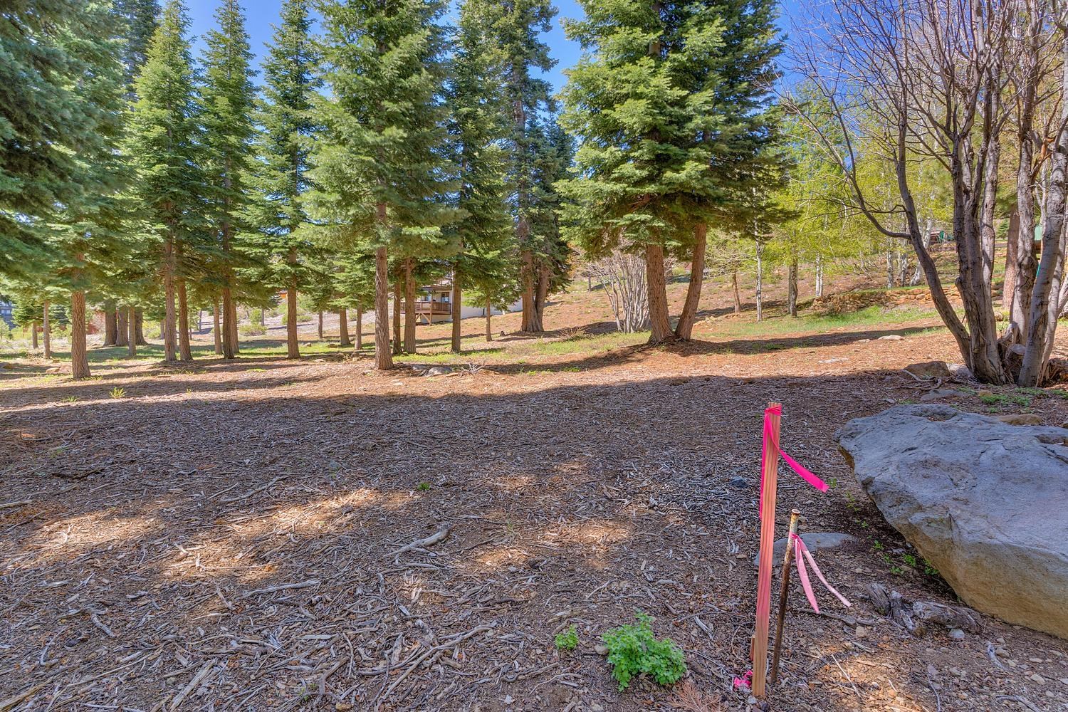 13257 Skislope Way