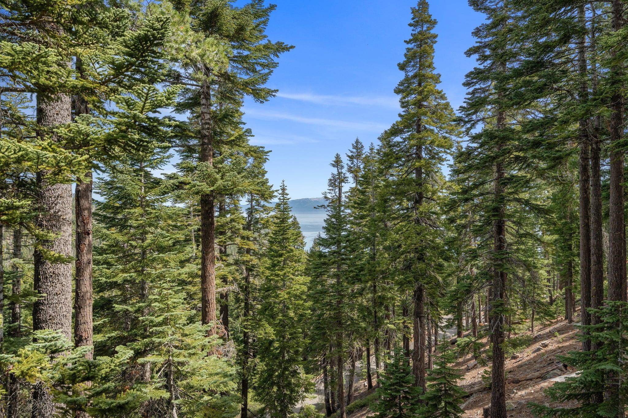 8993 Forest View Drive