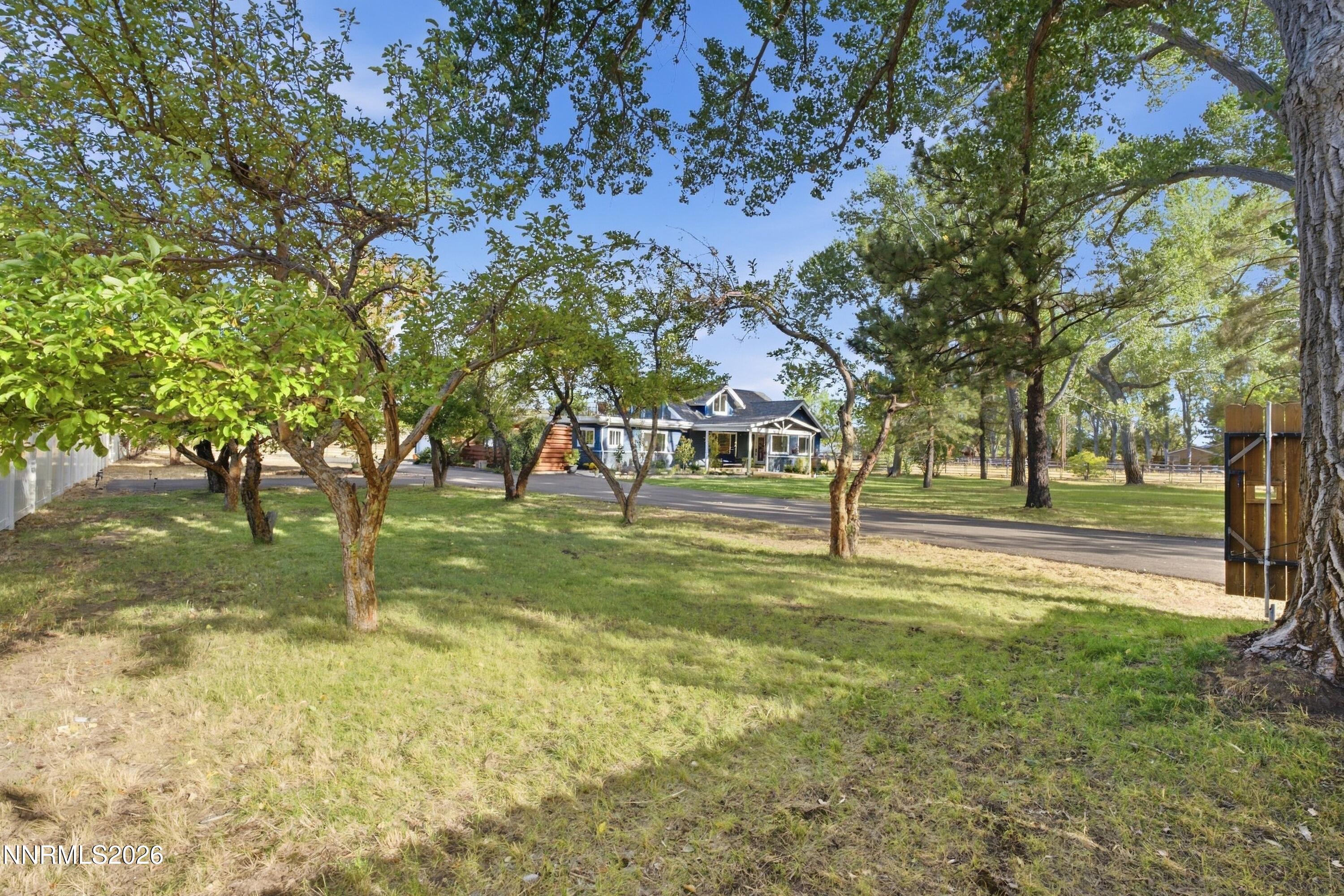 House beyond a broad grassy yard, framed by mature leafy trees and a paved drive.